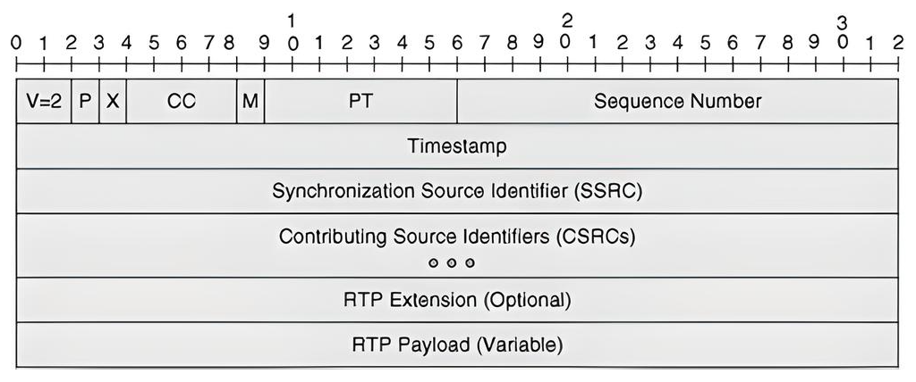 RTP Packet Structure